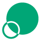 FSMS ICON